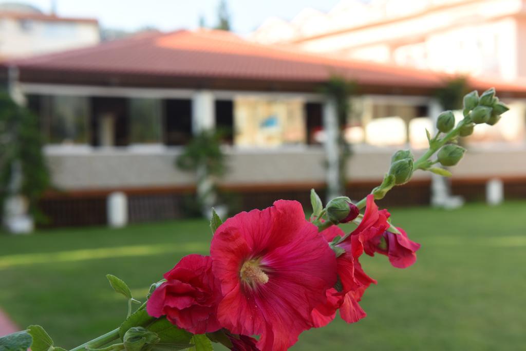 Oludeniz Turquoise Hotel Exteriör bild